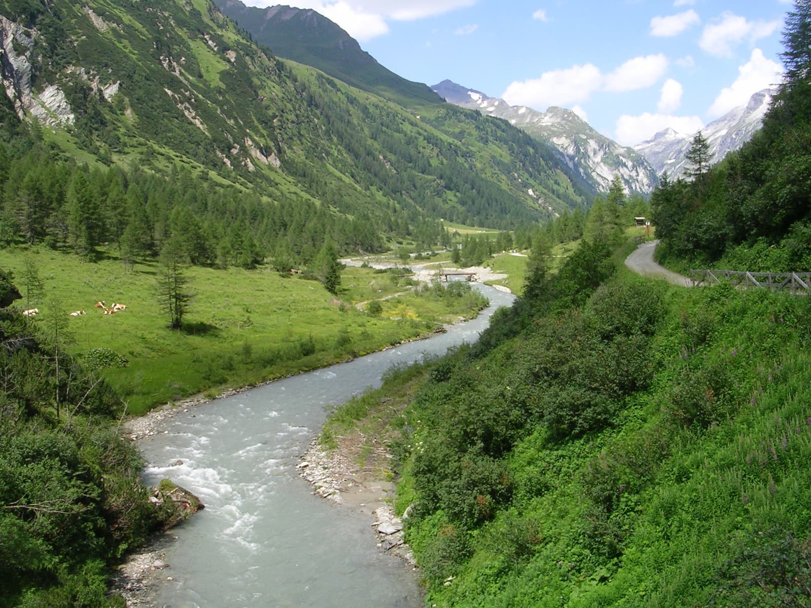 Dorfertal bei Kals – grünes Tal mit Gebirgsbach